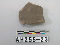 藏品(黑色泥質陶片)的圖片